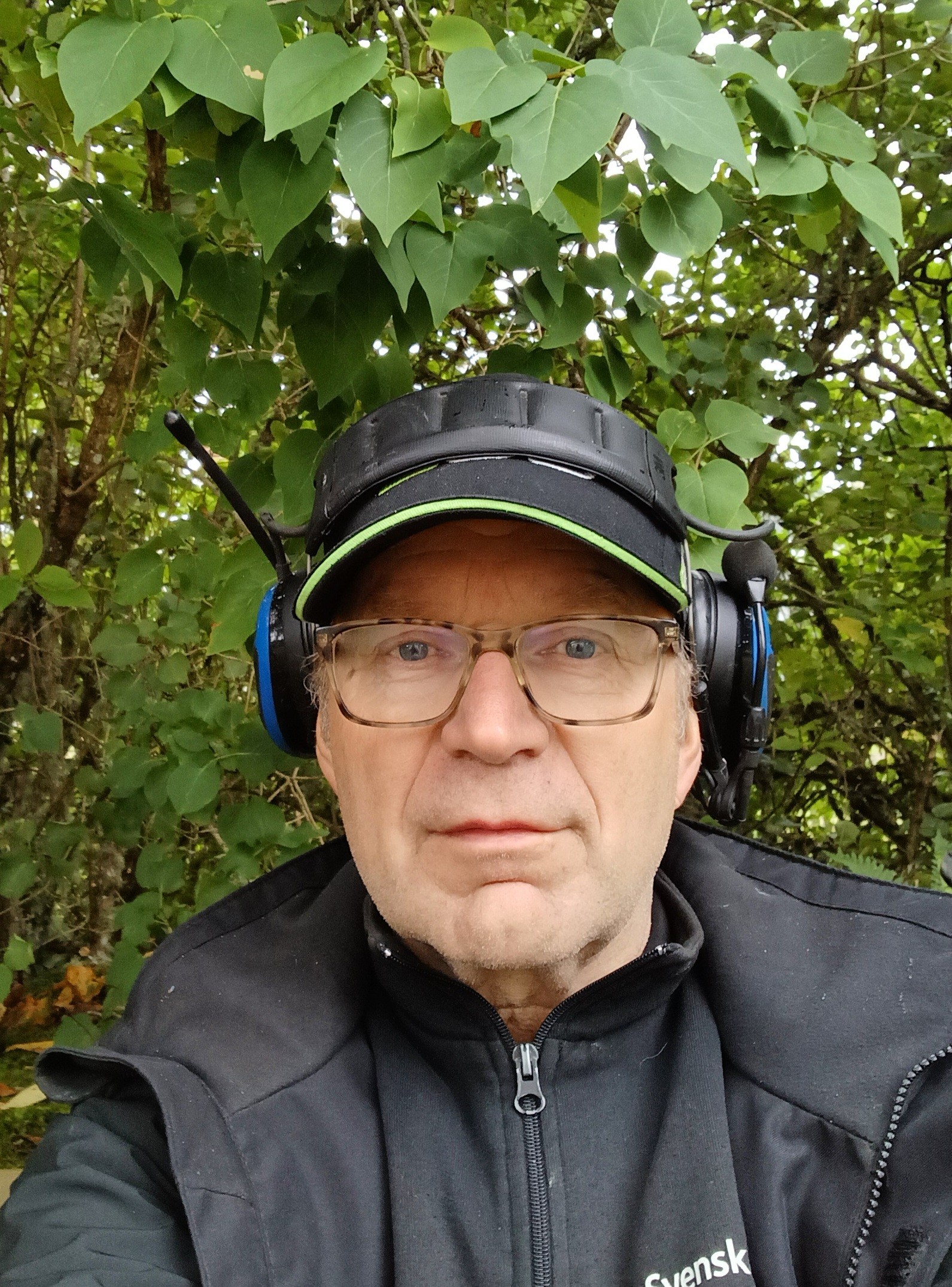Mikael Karlsson